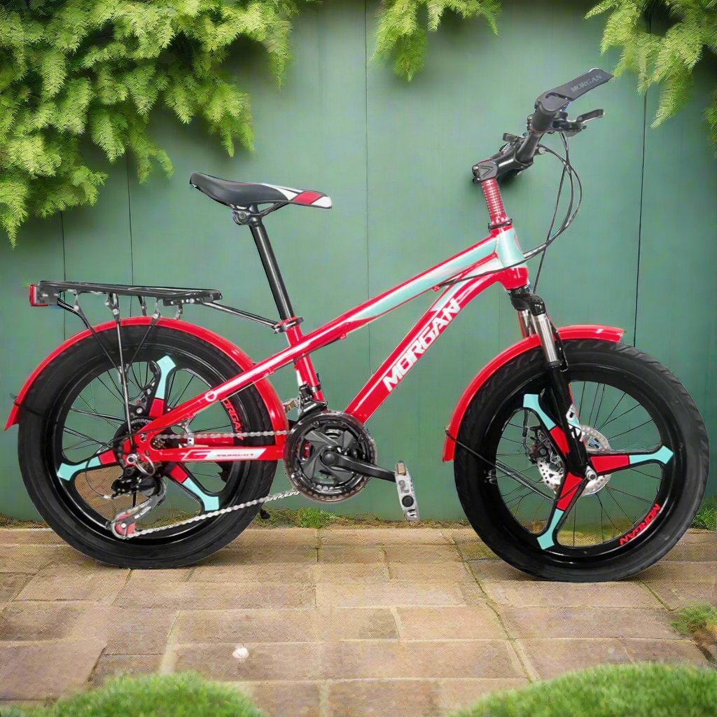 KIDS BICYCLE 20"