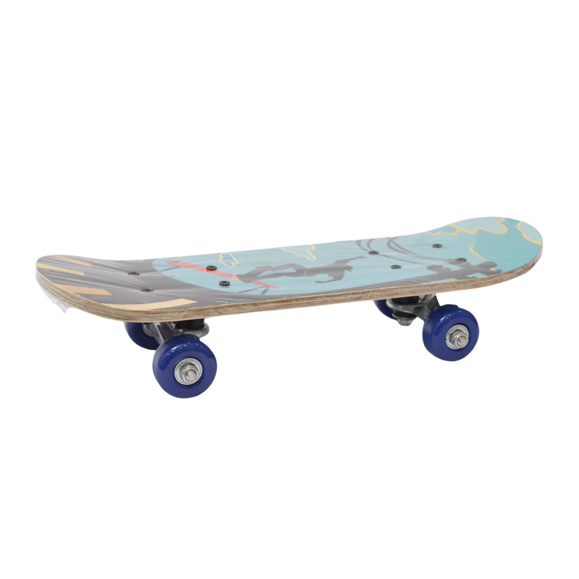 SKATE BOARDS